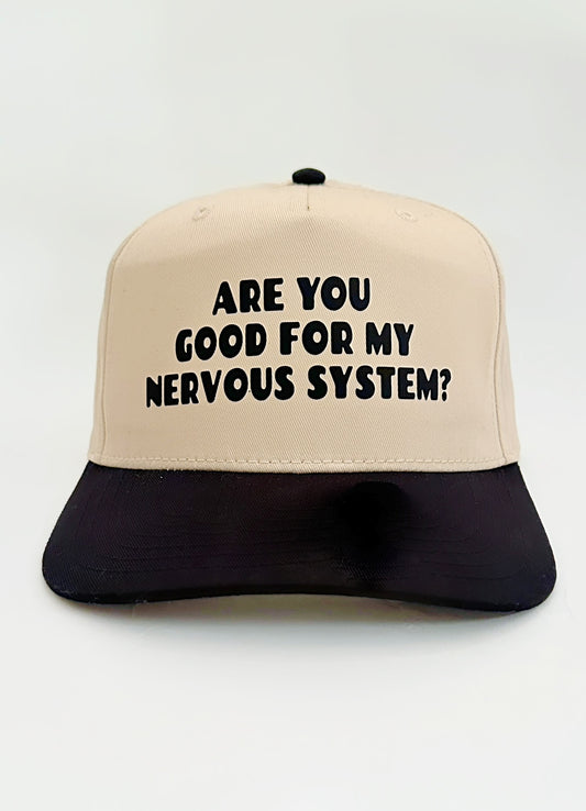 ARE YOU GOOD SNAPBACK